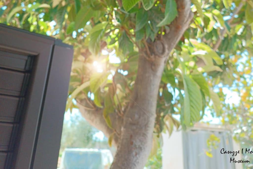 Casuzze I Mori Museum Apartment Marzamemi